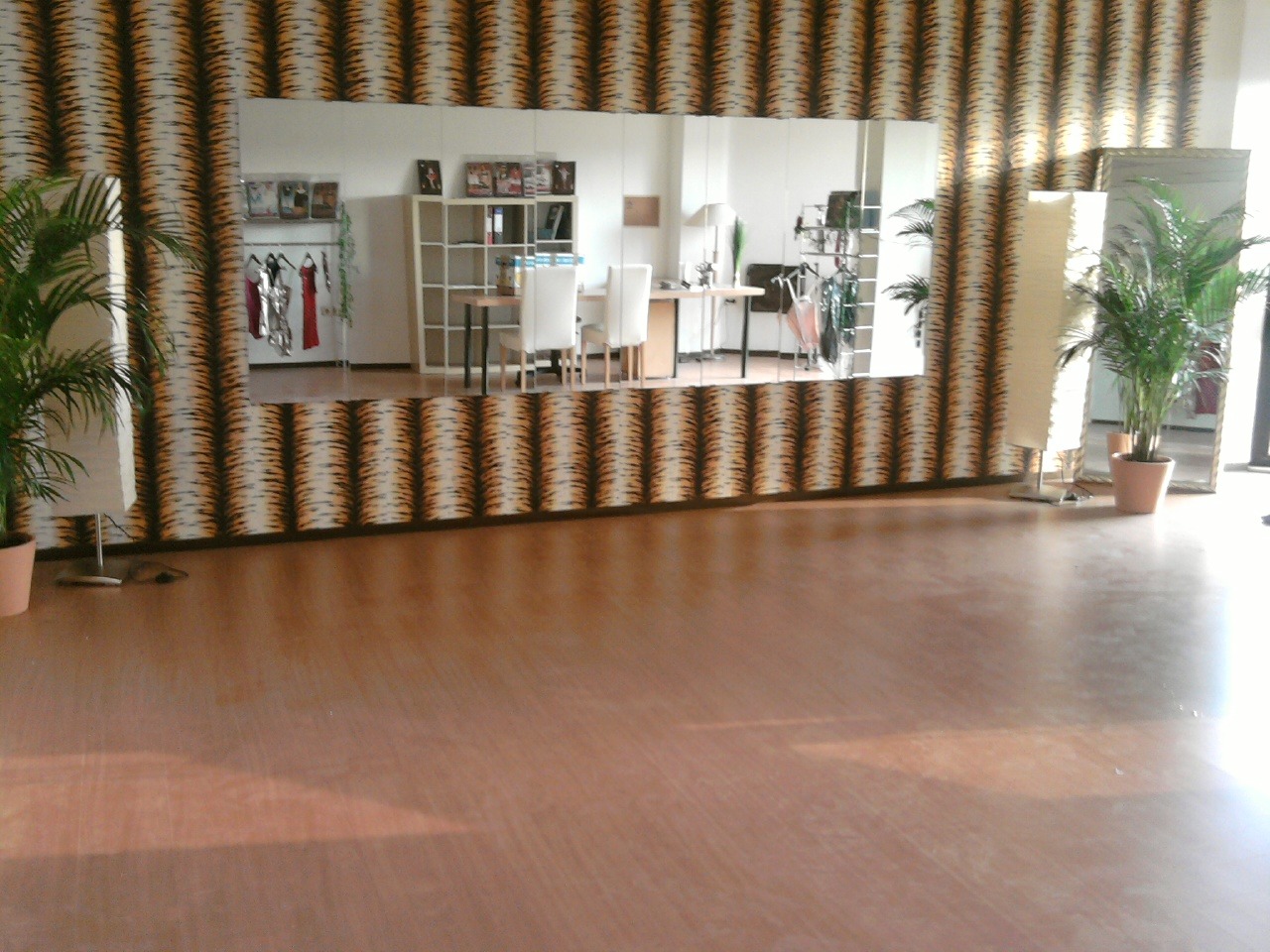 Das erste Tanzstudio VI-Dance