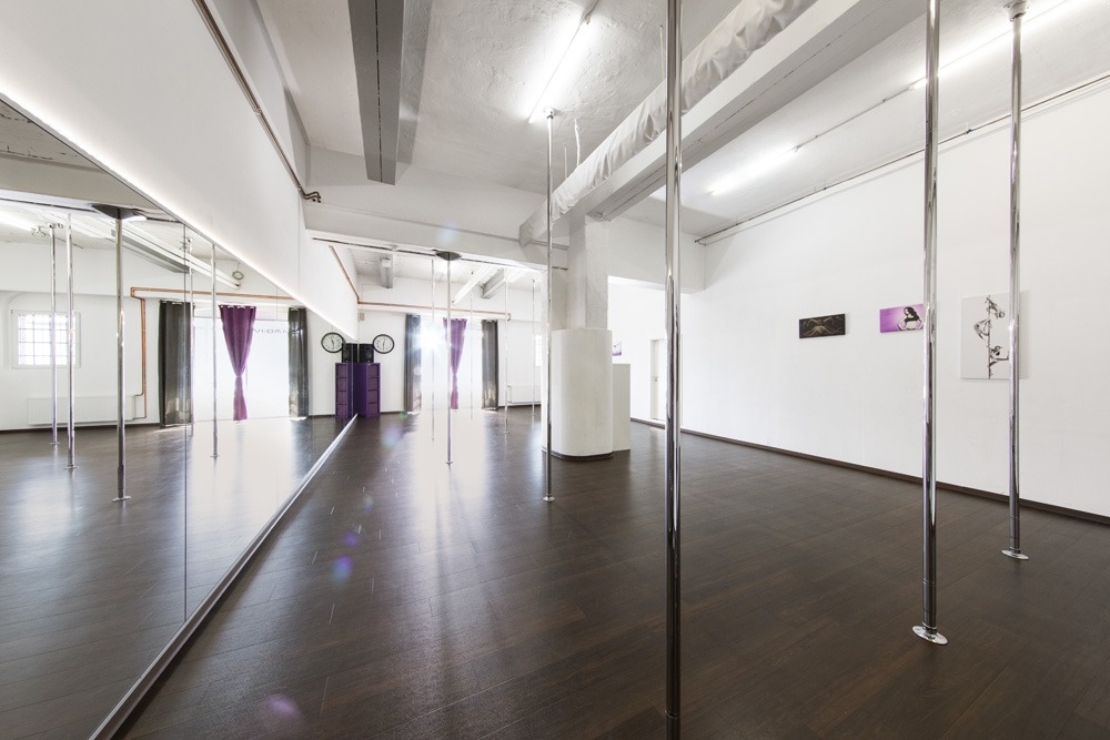 Trainingsfl&auml;che des Tanzstudio VI-Dance M&uuml;nster f&uuml;r Poledance und Luftakrobatik